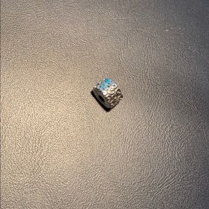 Pandora clip charm